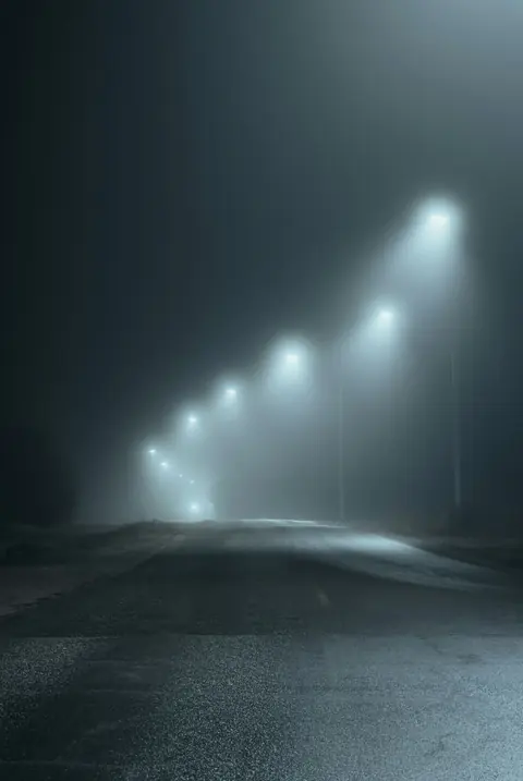 Street lamps along a dark road at night