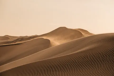 Sand dunes under a pale sky
