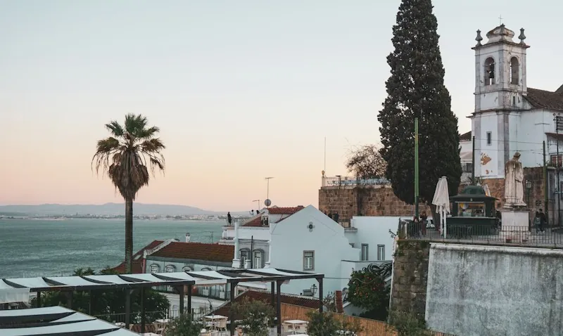 بيوت بيضاء ونخلة فوق البحر في لشبونة